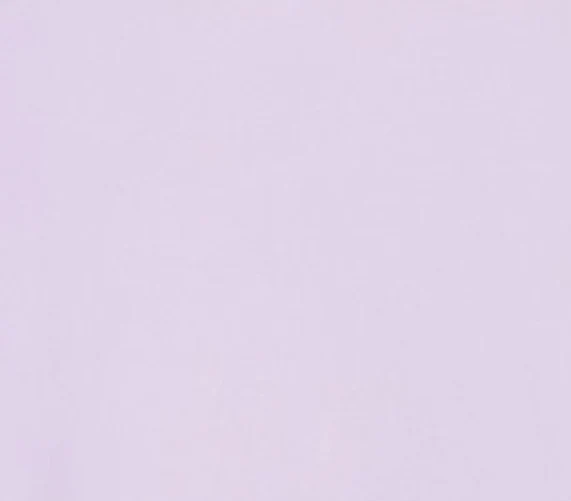 Adine Shrunken Tee in Lilac - Image 7