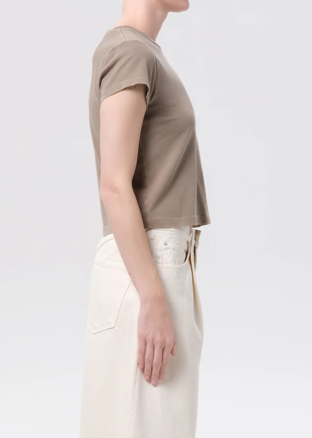 Adine Shrunken Tee in Trail - Image 3
