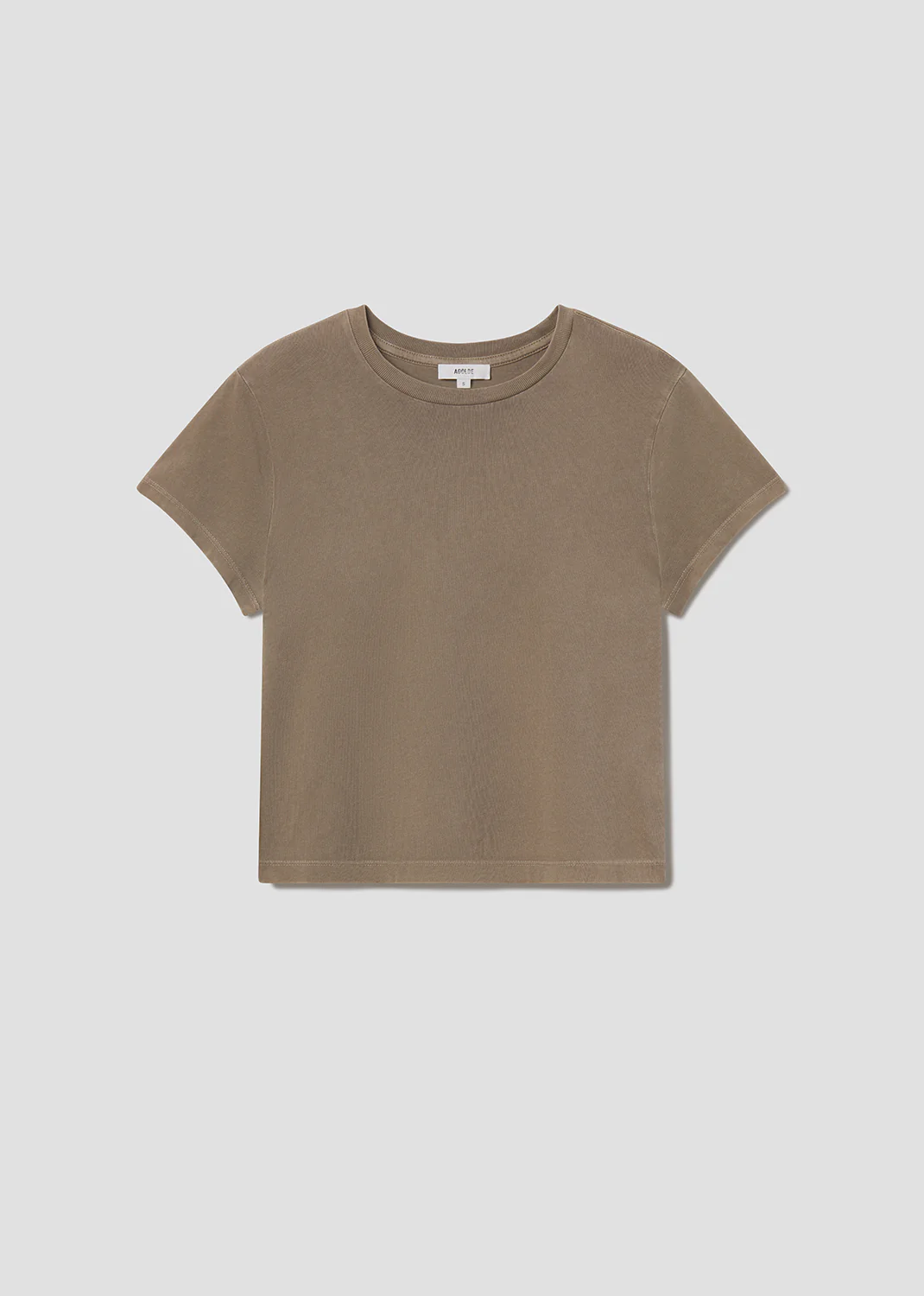 Adine Shrunken Tee in Trail - Image 6