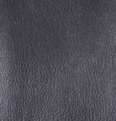 Chadwick Jacket in Black - Image 7
