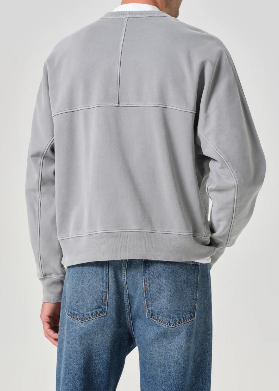 Dane Crewneck in Patagonia - Image 3