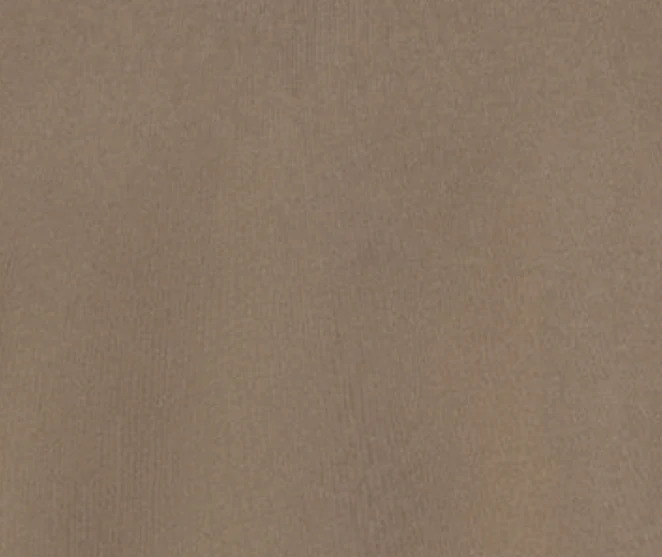 Adine Shrunken Tee in Trail - Image 7