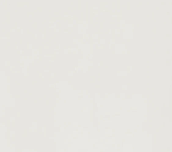 Long Line Adine Tee in Blonde - Image 7