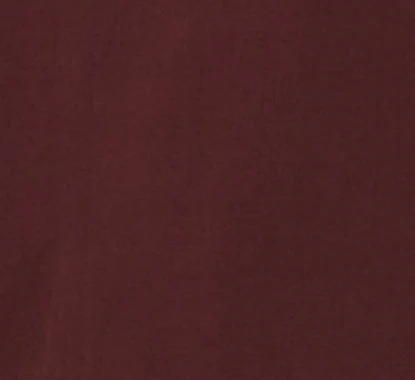 Asha Long Sleeve Mock Neck Tee in Bitter Root - Image 8