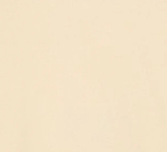 Adine Shrunken Tee in Lemon Drop - Image 7