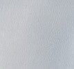Skate Short in Extract - Image 7