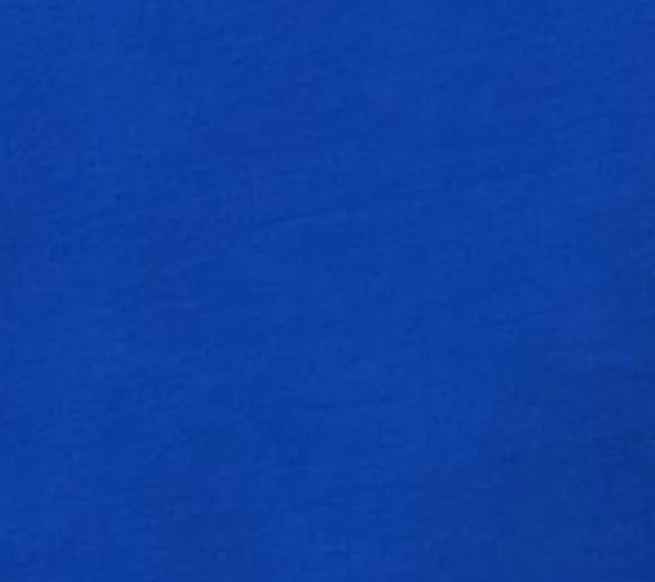 Tora Bodysuit in Cobalt - Image 7